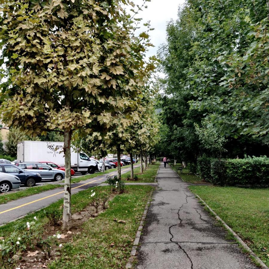 Igla House Baia Mare Exterior foto
