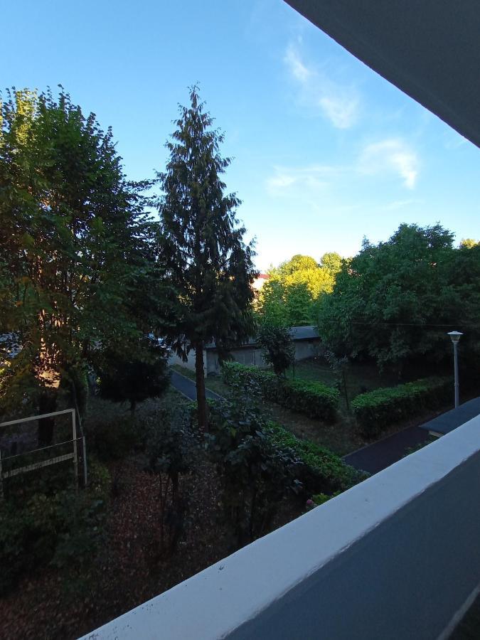 Igla House Baia Mare Exterior foto